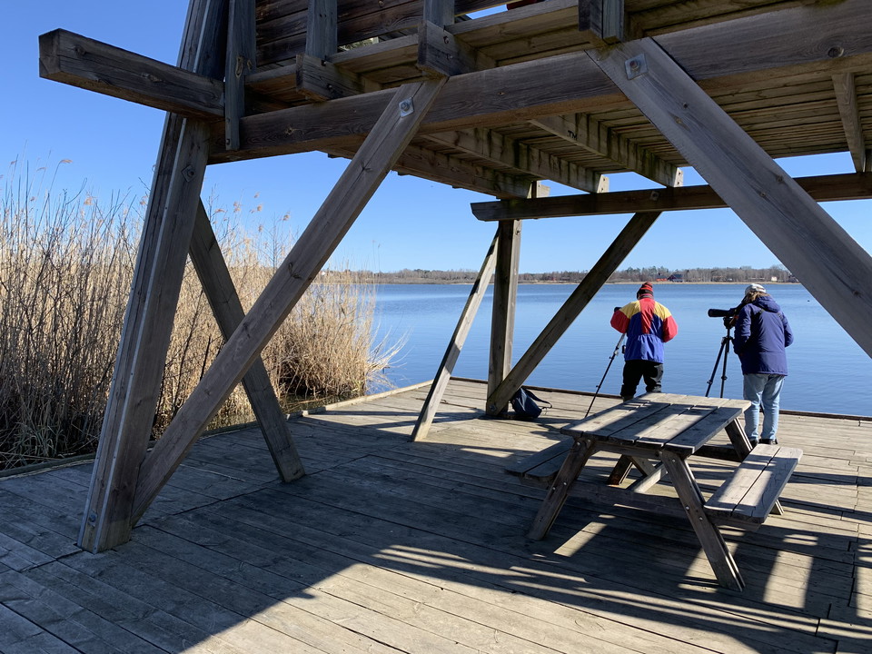 Rastplats och skådarplattform vid fågeltornet. 