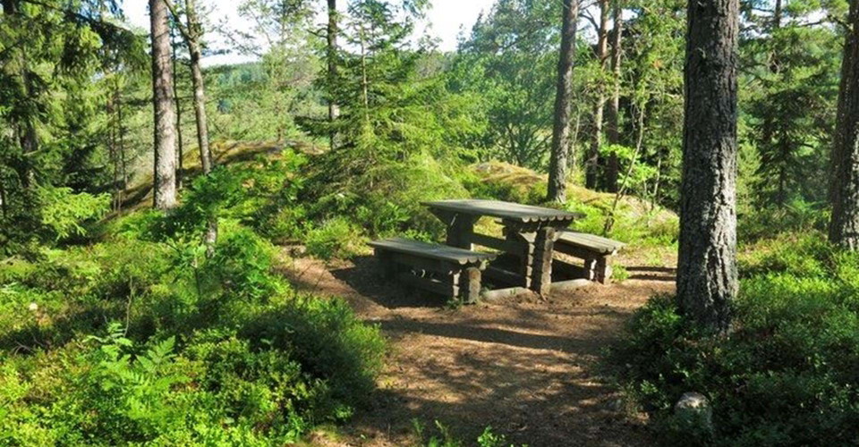 borgbergsledens rastplats. 
Etapp: Borgbergsleden, rundslinga. 
Söderköping