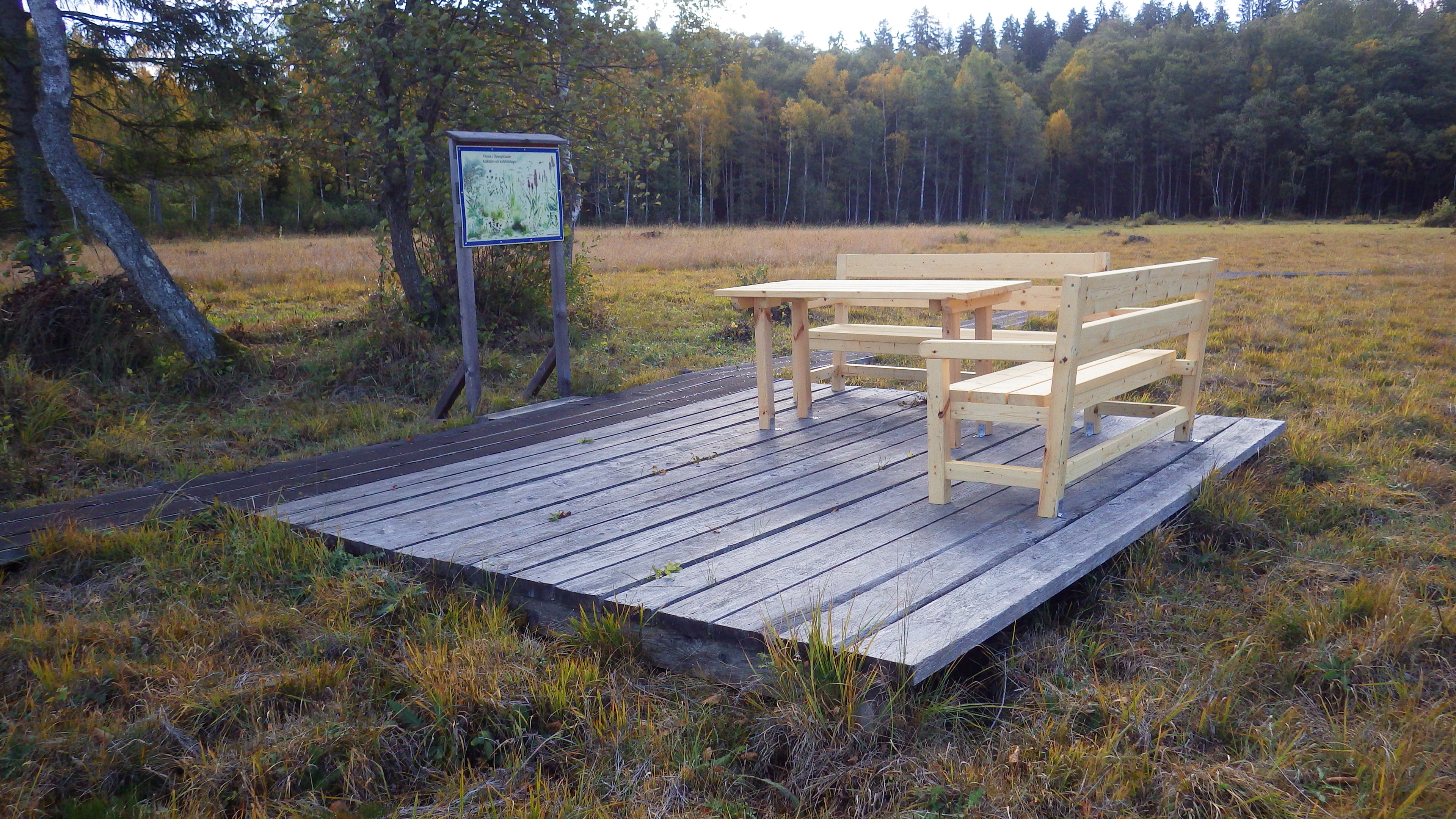 Hilkka M Kangas