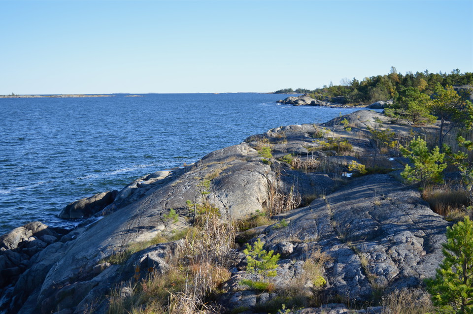 Ojämna stenhäll vid havet. Vid stenhällen växer många låga träd.
