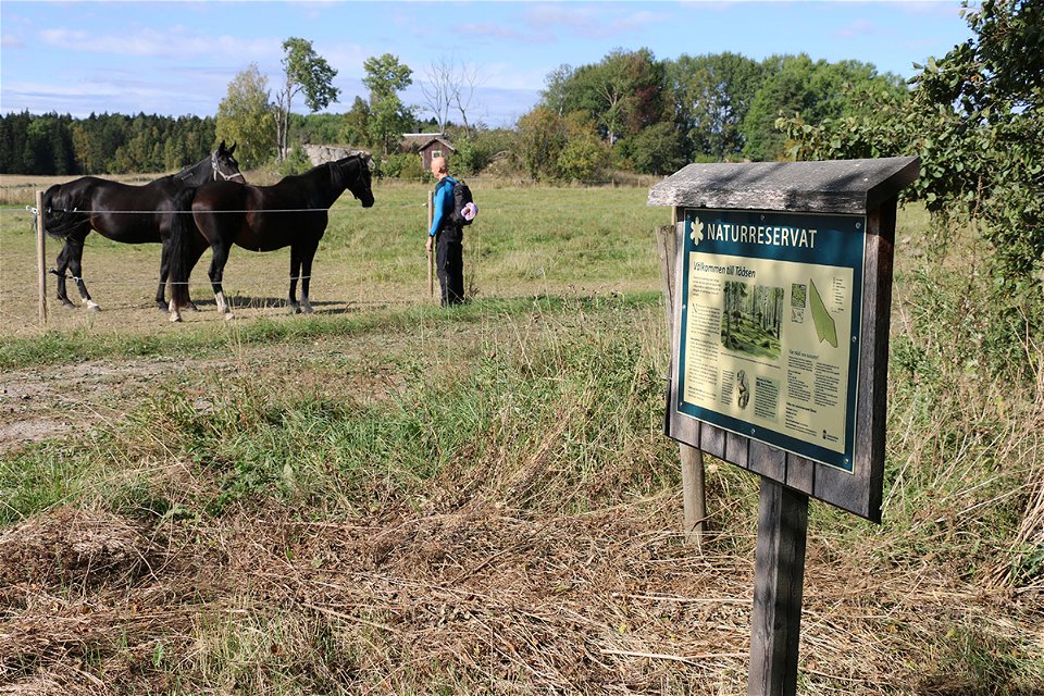 Informationstavla på träställ. I bakgrunden en blåklädd man och två bruna hästar.
