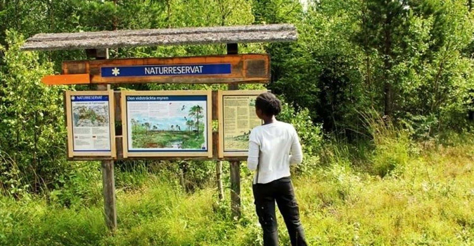 Entré Fjällmössens naturreservat västra
Etapp: Lövsjön-Säter
Norrköping