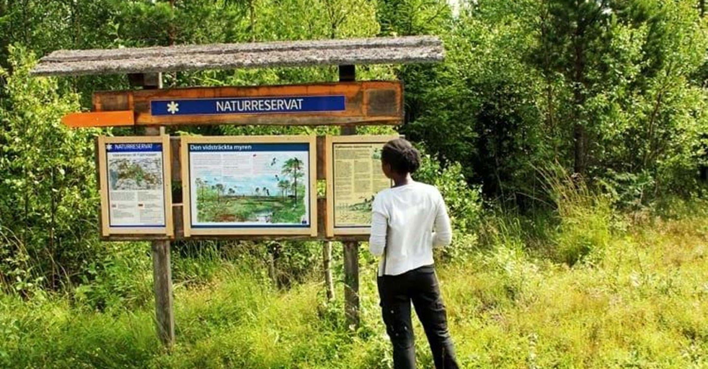 Entré Fjällmössens naturreservat västra
Etapp: Lövsjön-Säter
Norrköping