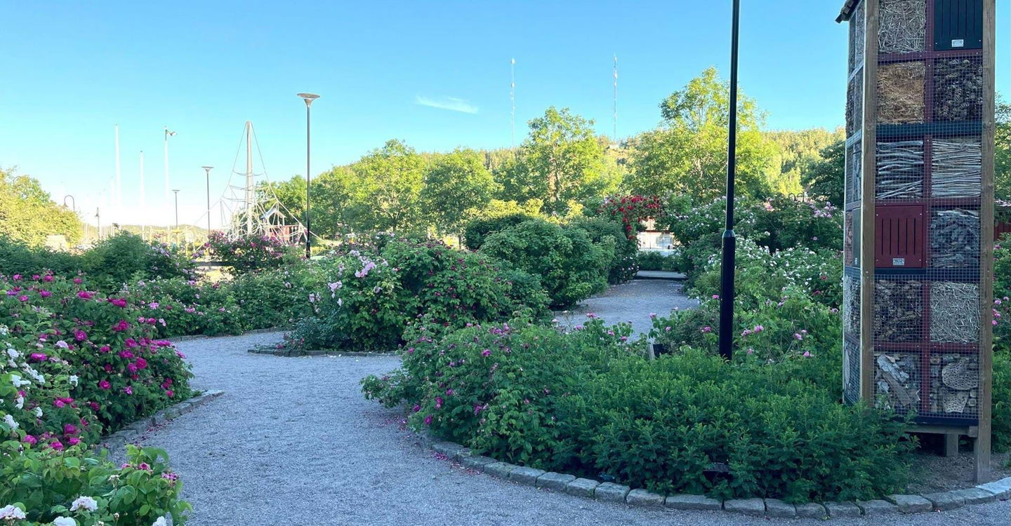 Valdemarsviks rosarium, insektshus.