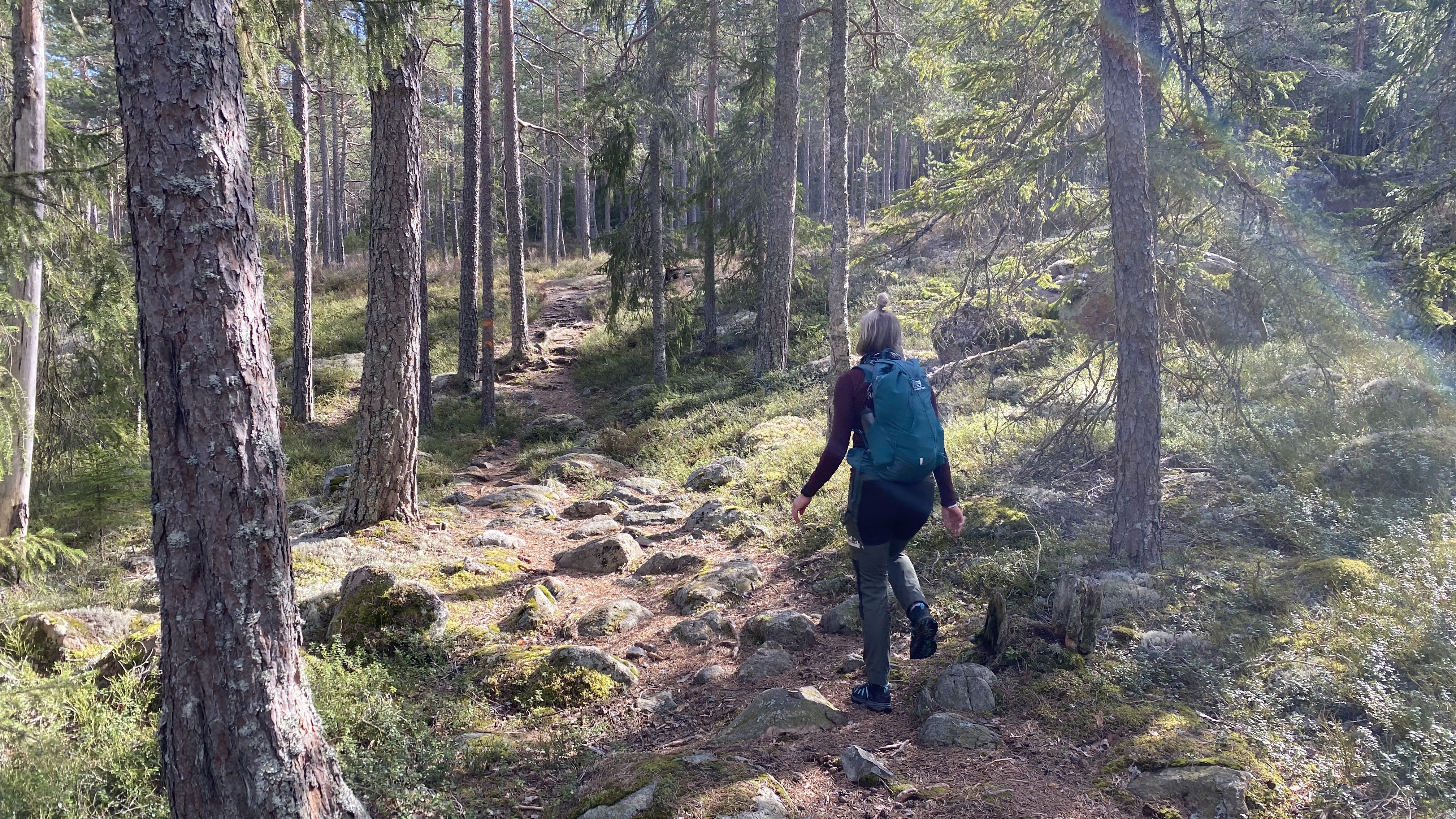 Fagersta - Landsbergstriangeln