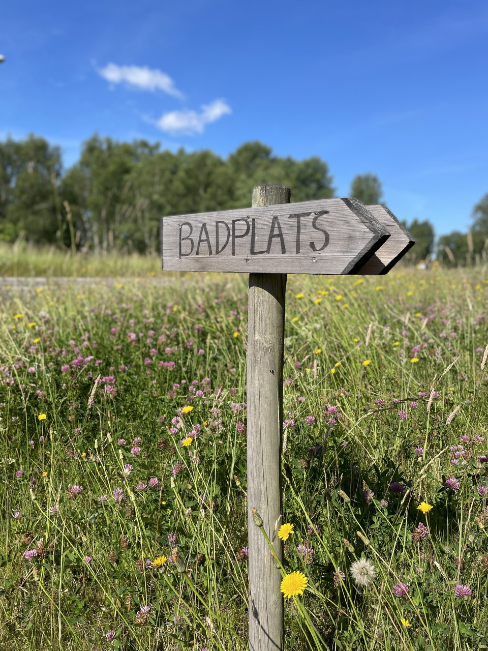 Upptäck Delary i sommar!