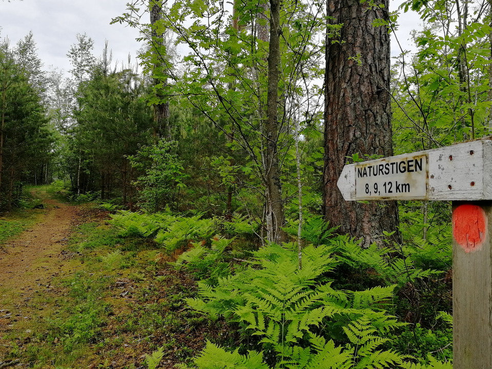 Vandringsled i Jät