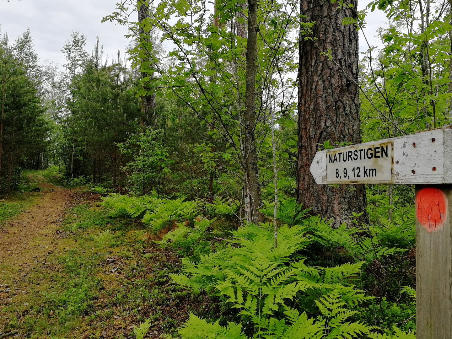 Vandringsled i Jät