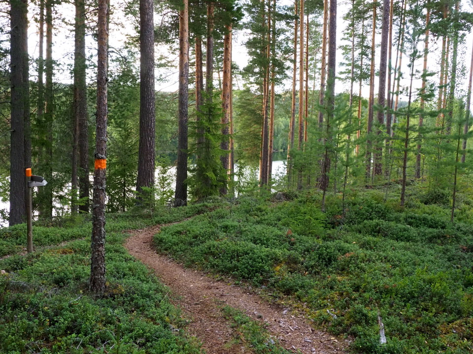 Vy över Österdalälven och bergen i väster