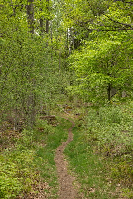 Fotograf: Tobias Ivarsson