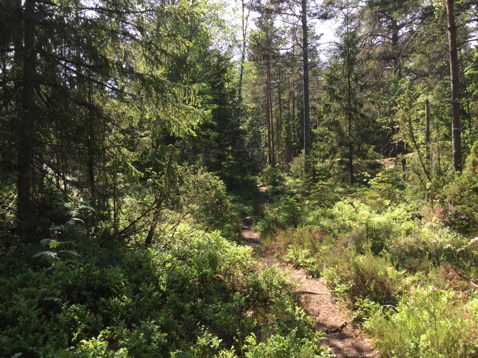 Grevinnans rå naturreservat