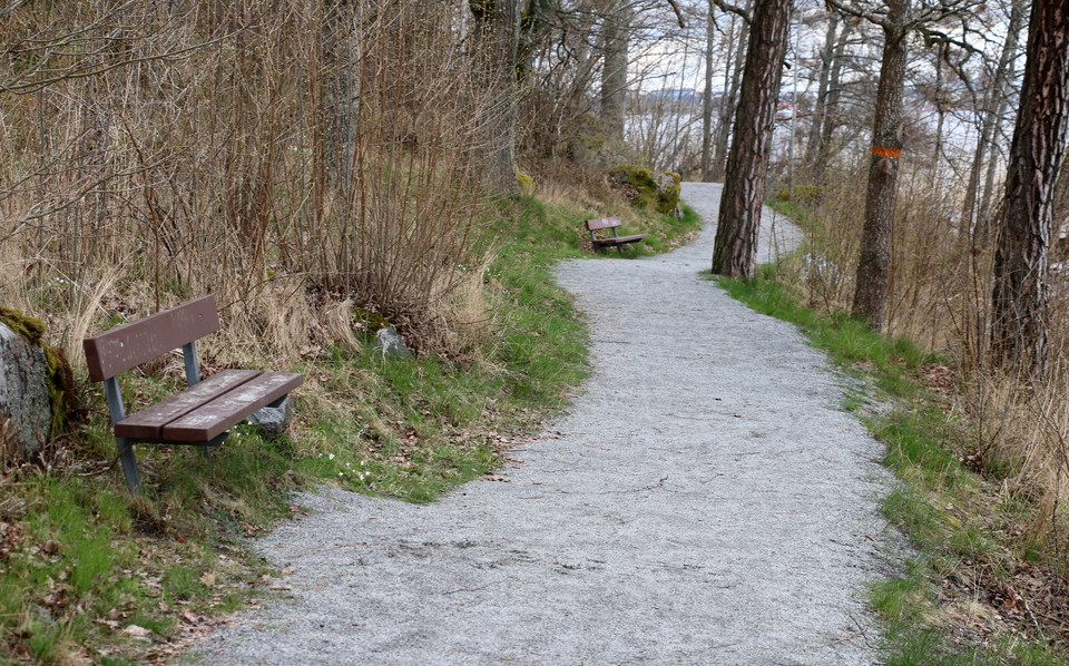 Grusväg med bänkar vid sidan. Orange ledmarkering på träd.