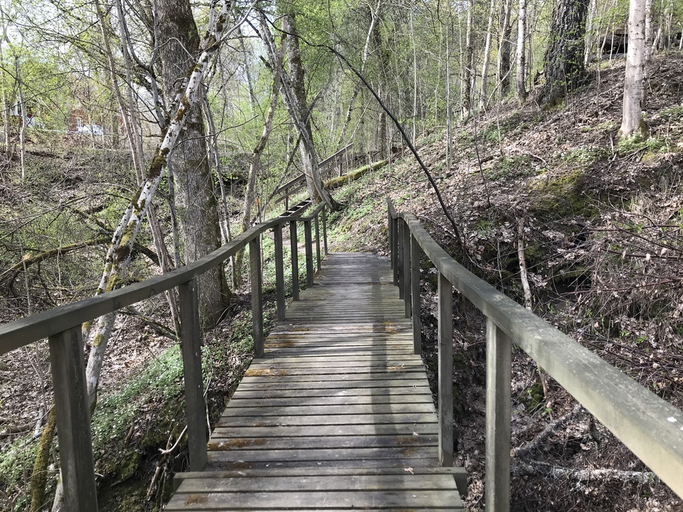 Träbro i förgrunden och trappa uppför ravinen i bakgrunden. I lövskog.