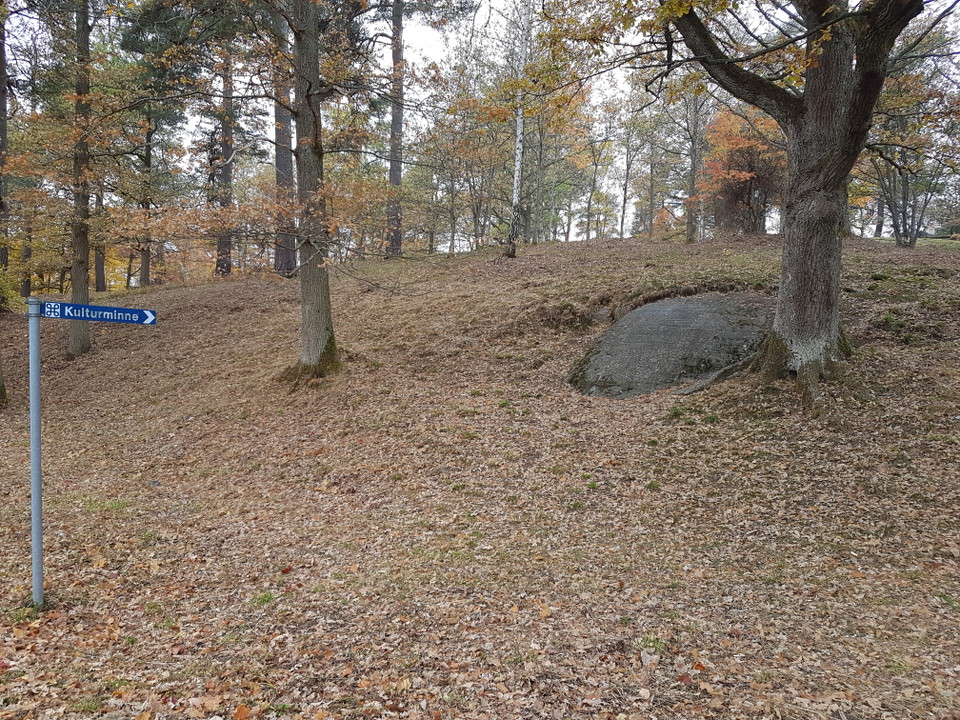 Bo gravfält. Foto Lidingö stad.