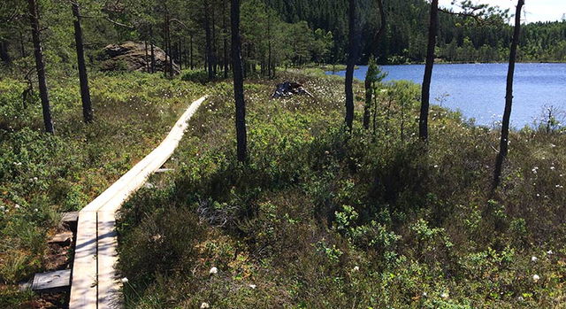 Trehörningen, Naturreservat