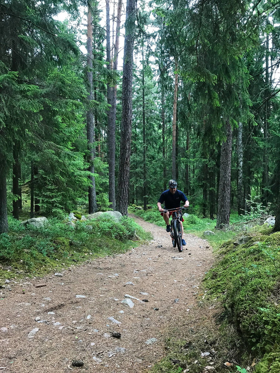 MTB-spåret i Johannisdal