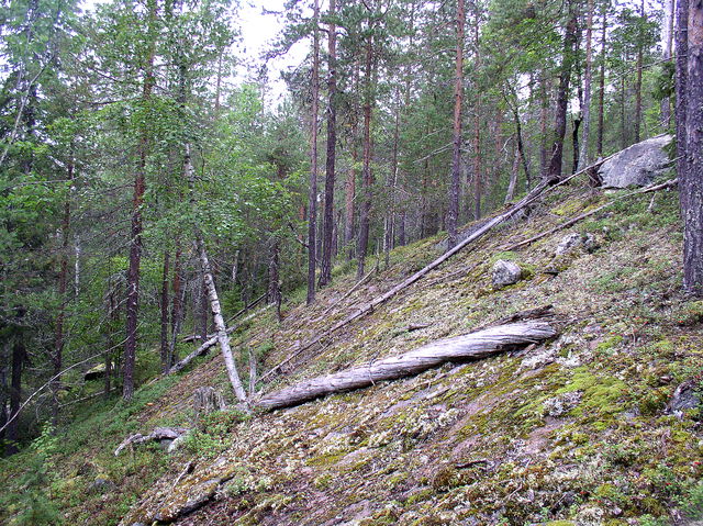 Rudjärvberget