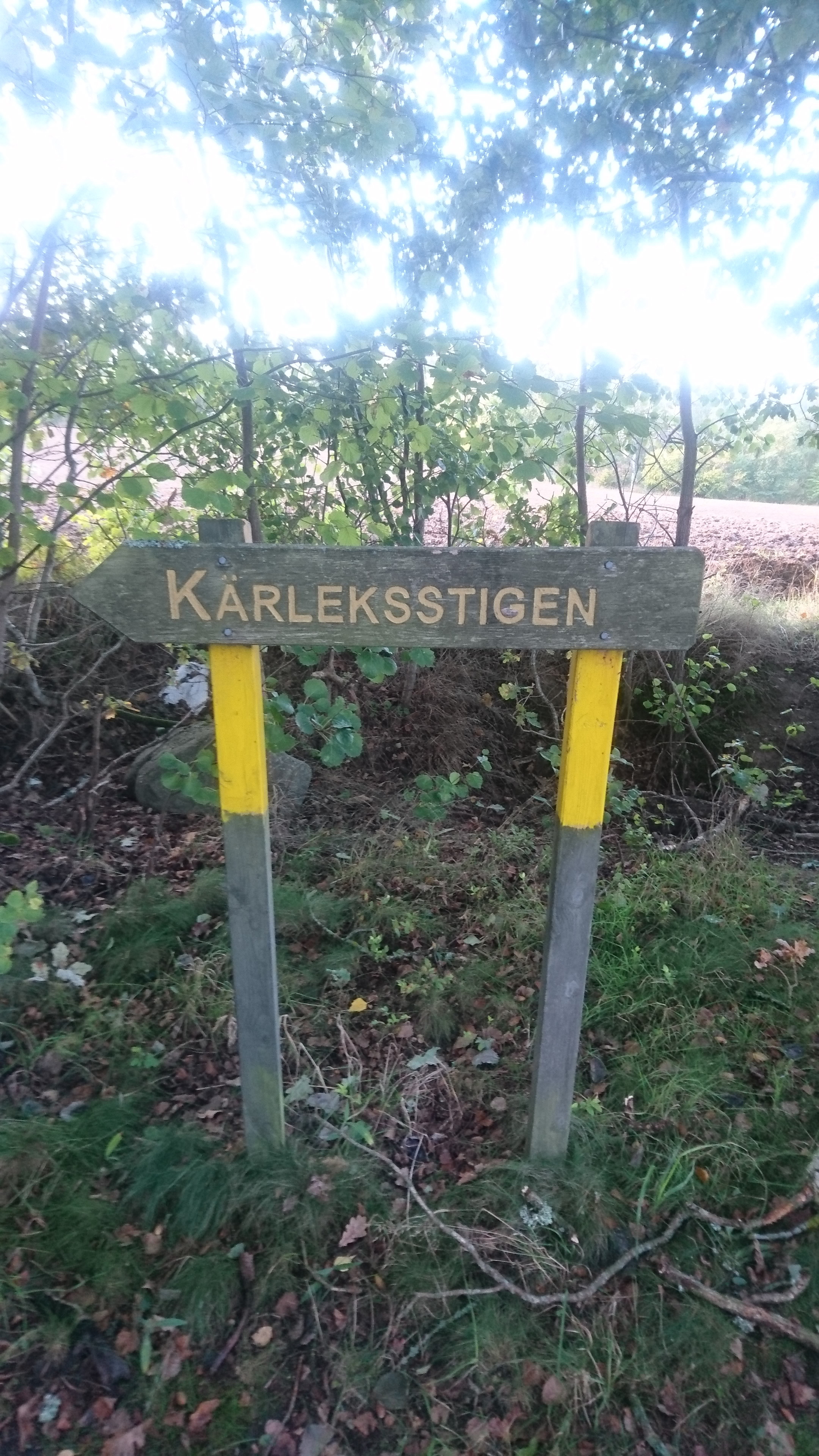 Kärleksstigen