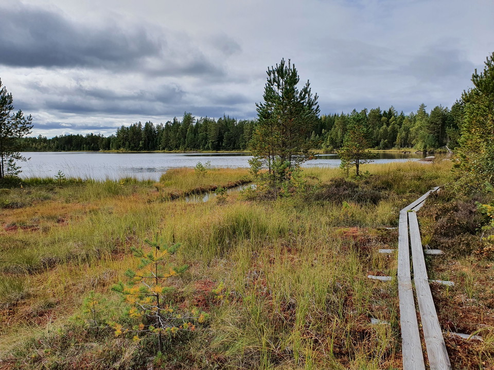 Hertigparets vandringsled, Byamossarna