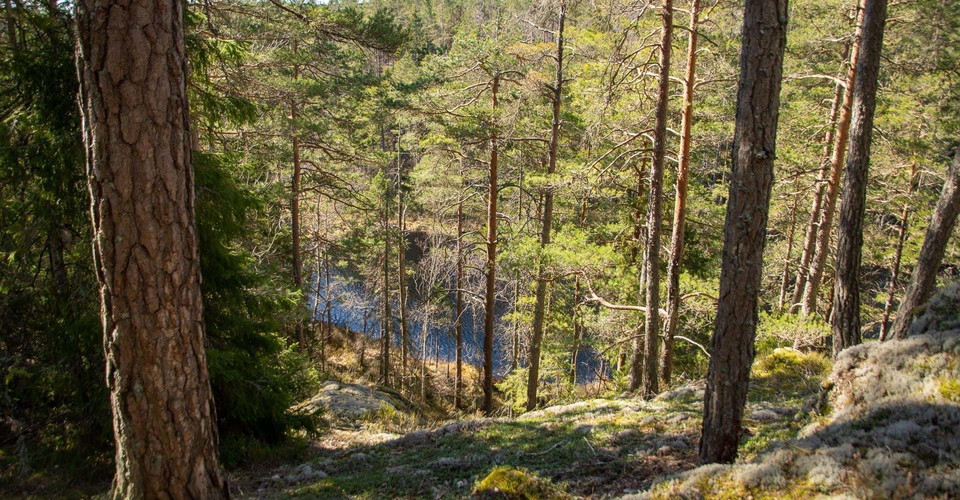 Stora Namnsgölen runt.
Norrköping