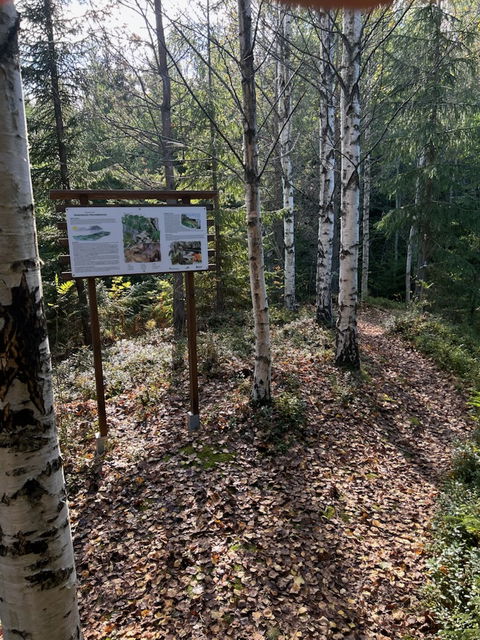 Informationstavla Bosvedjebäcken