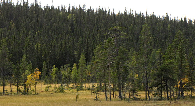 Bålkaberget.