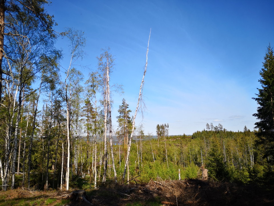 Vy från Valborgsmässhällarna