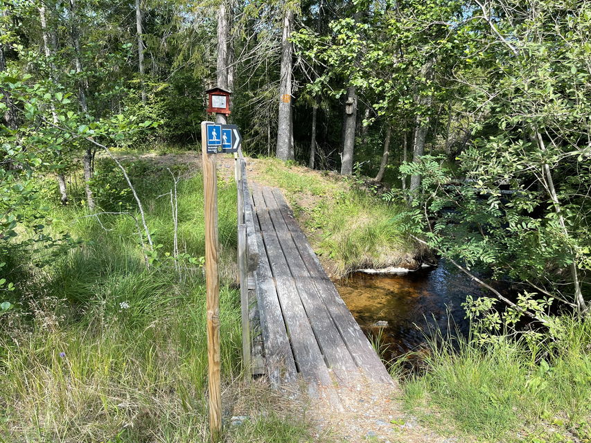 Längs med leden