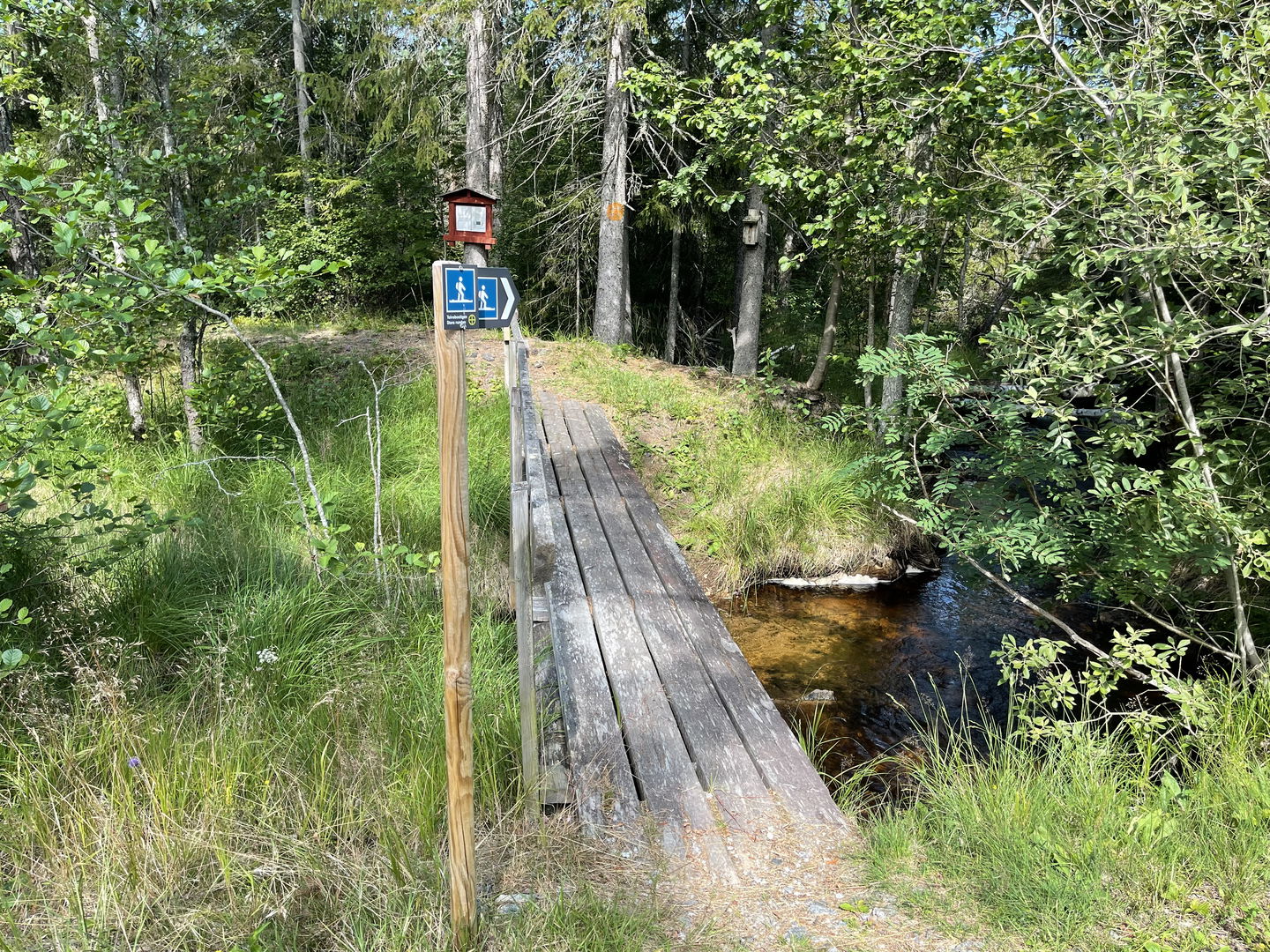 Längs med leden