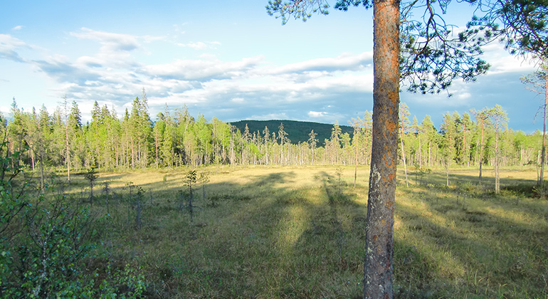 Granberg, Naturreservat