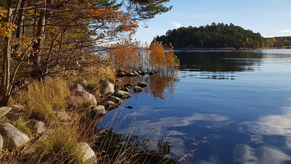 Strand på östra Bosön. Foto Lidingö stad