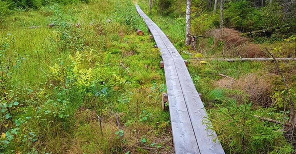 Rundslinga i Tjällmoskogarna.
Motala.
