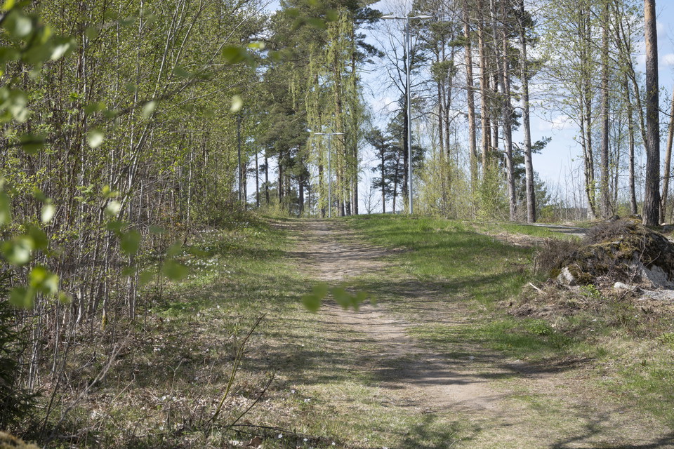 Bred stig i blandskog.