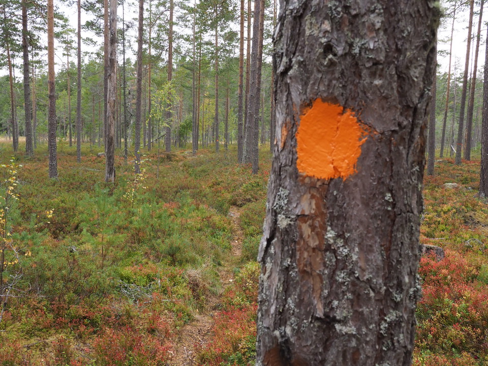 Höstfint