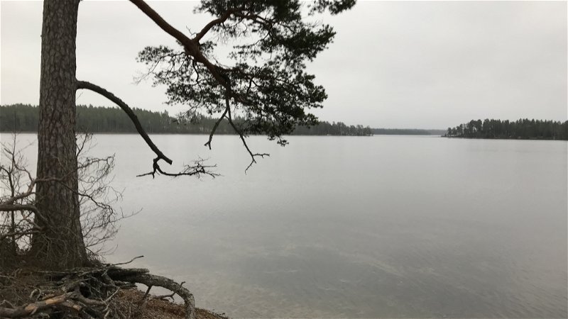 Östra Laxsjön