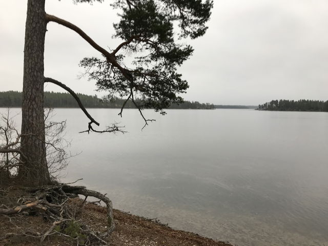 Östra Laxsjön
