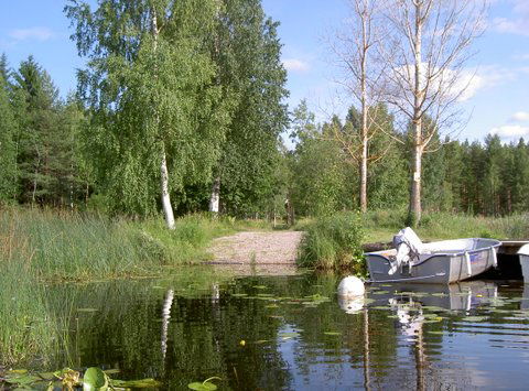 Sälgnäsviken