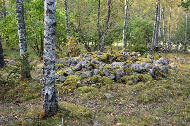 Järnåldersrösen och stensträngar vid Södersätra
