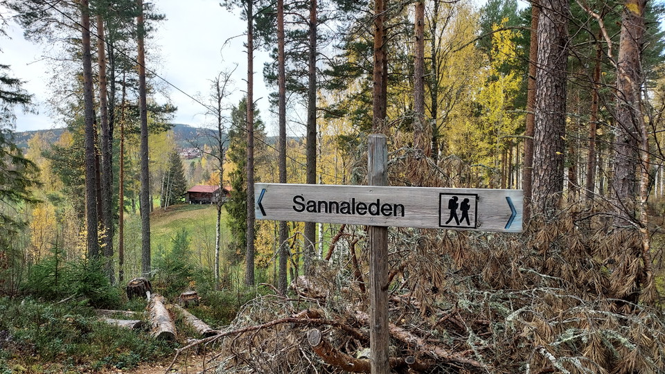Sannaleden