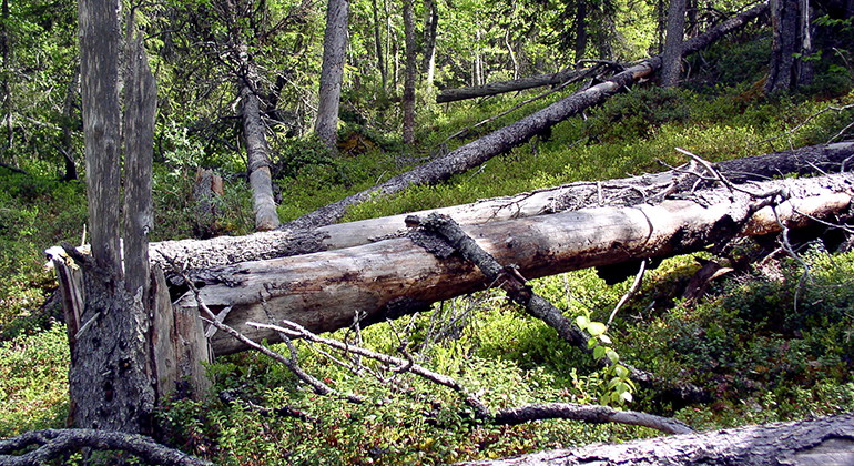 Karsberget.