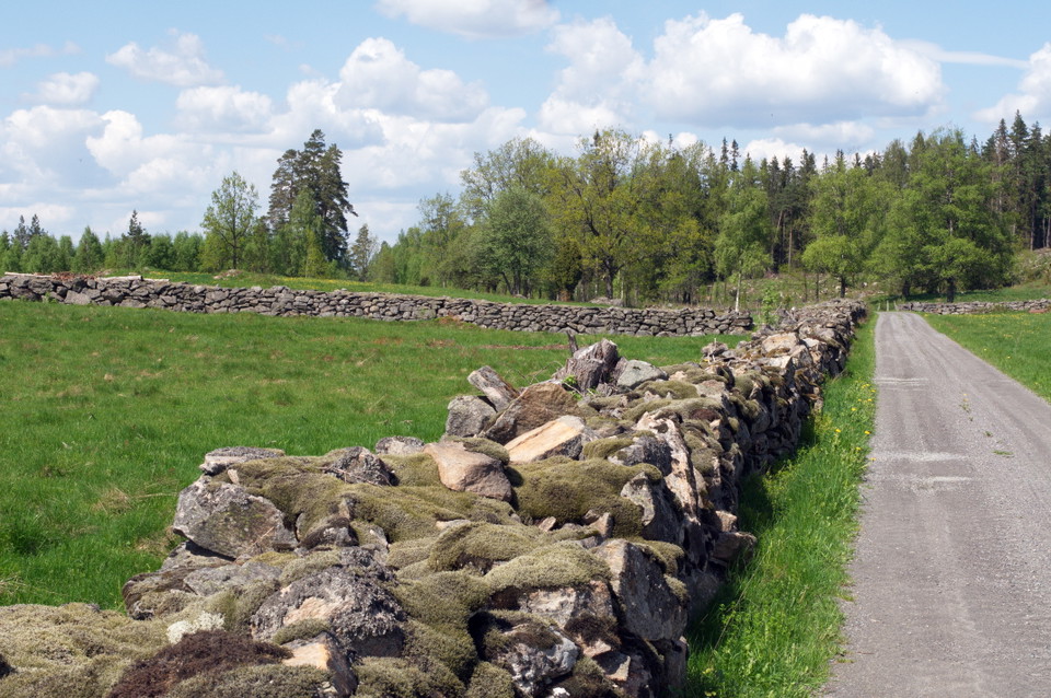 Sötåsa