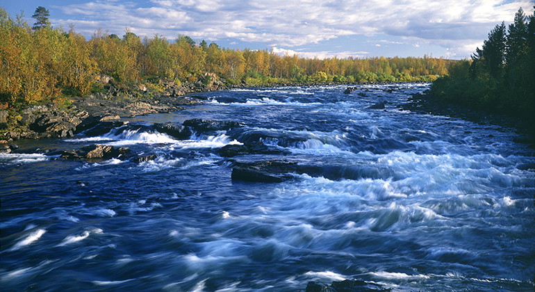 Rautasälven.