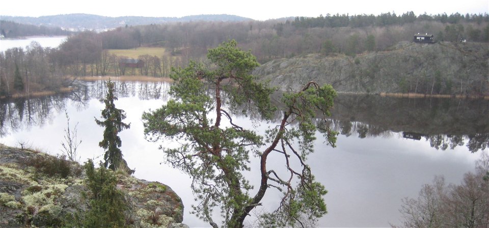 Vy över Brakmarsviken och Hammarbergets naturreservat. Foto: Länsstyrelsen.