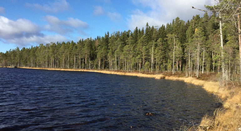 Stensjöns strand.