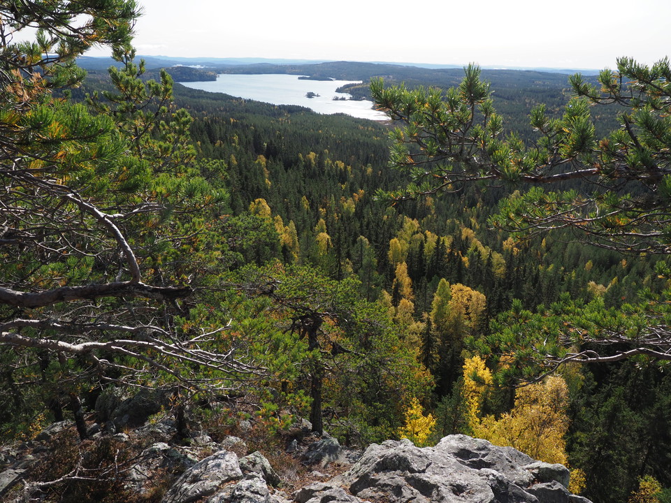 Vy över Fjällgrycken