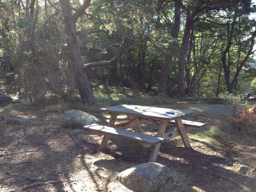 Ett bänkbord står i en glänta med skog i bakgrunden. Marken är ojämn med flera större stenar.