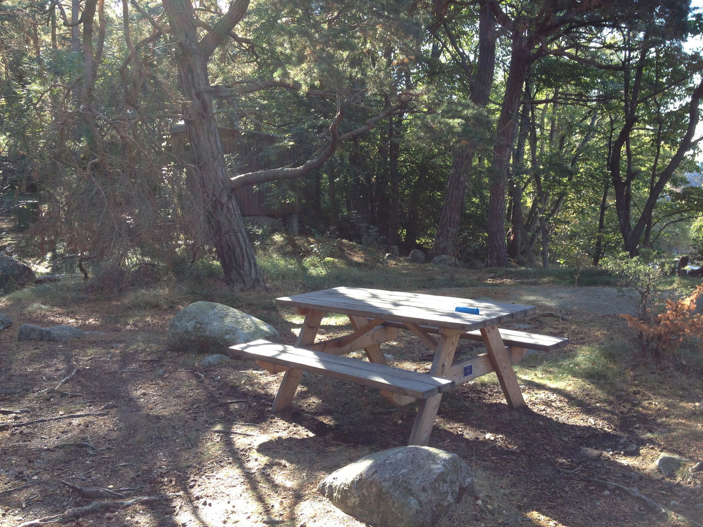 Ett bänkbord står i en glänta med skog i bakgrunden. Marken är ojämn med flera större stenar.