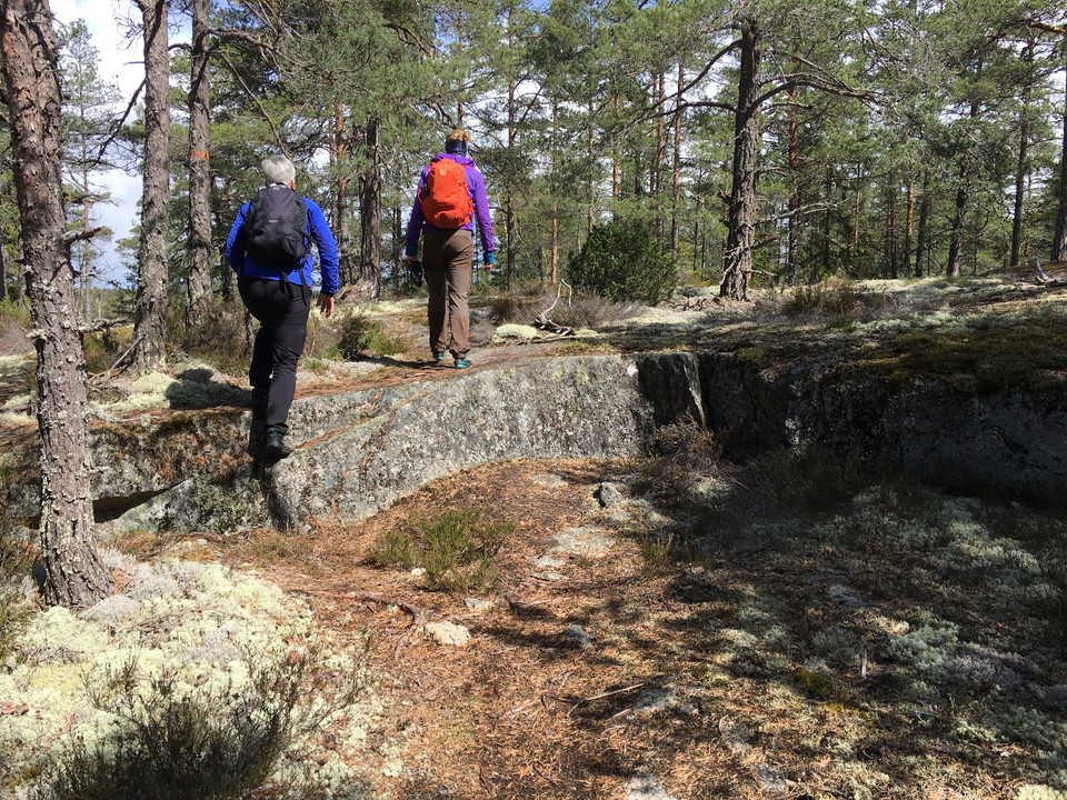 Kuperad stig längs slingans västra del.