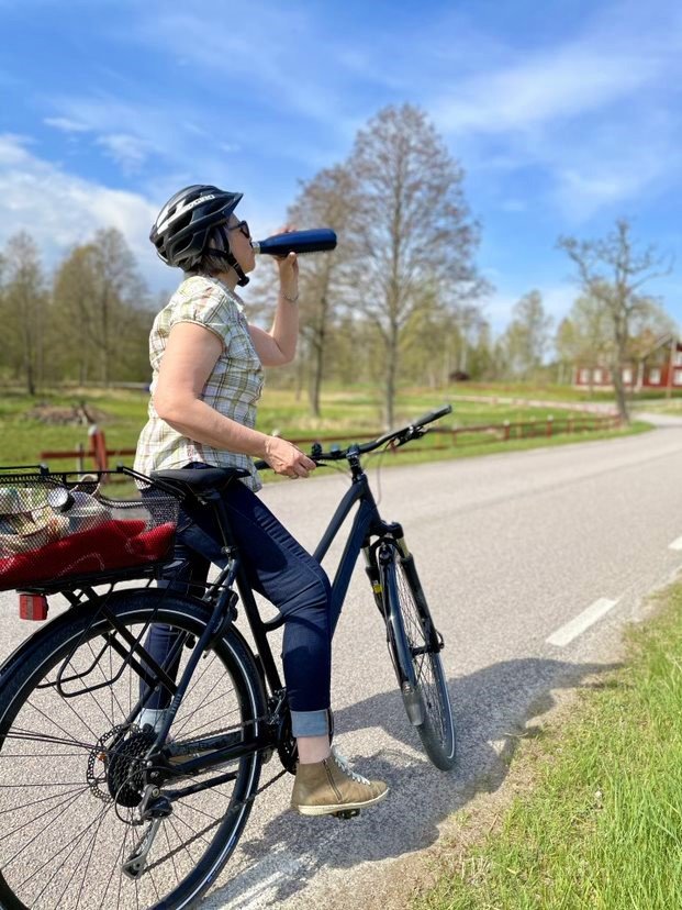 Cykla i Lerbäcks bergslag eller till Tiveden