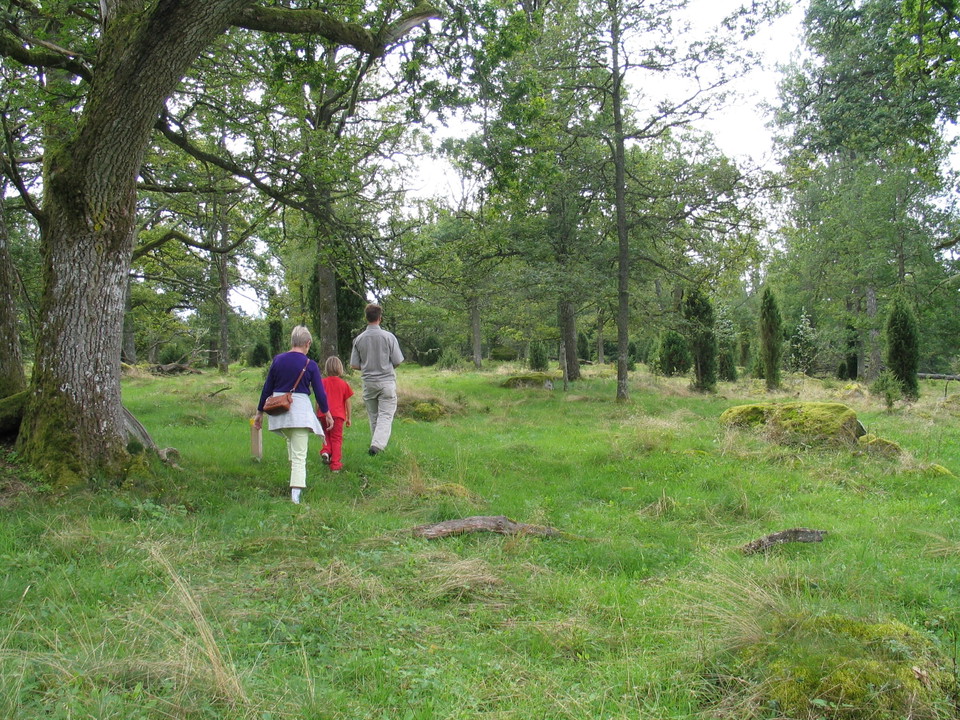 Fotograf: Birgitta Warodell